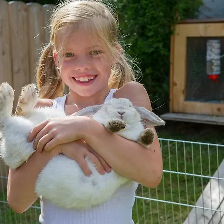 דירה Hoellwart *